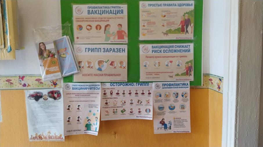 Профилактика гриппа и острых респираторных вирусных инфекций Профилактика гриппа и острых респираторных вирусных инфекций.